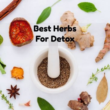 Best Herbs For Detox